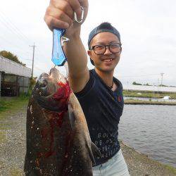 浜名湖フィッシングリゾート 釣果