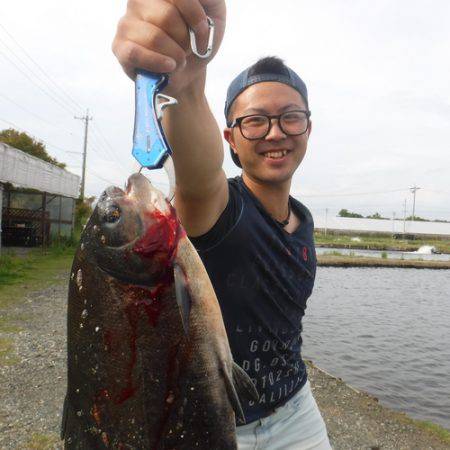 浜名湖フィッシングリゾート 釣果