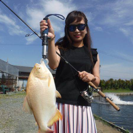 浜名湖フィッシングリゾート 釣果