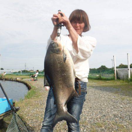 浜名湖フィッシングリゾート 釣果