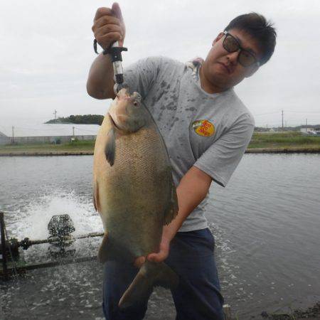 浜名湖フィッシングリゾート 釣果