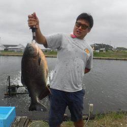 浜名湖フィッシングリゾート 釣果