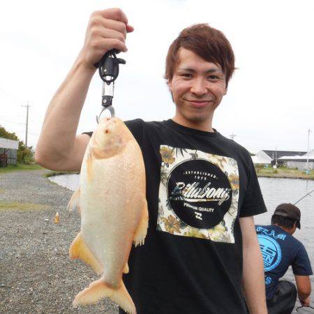 浜名湖フィッシングリゾート 釣果