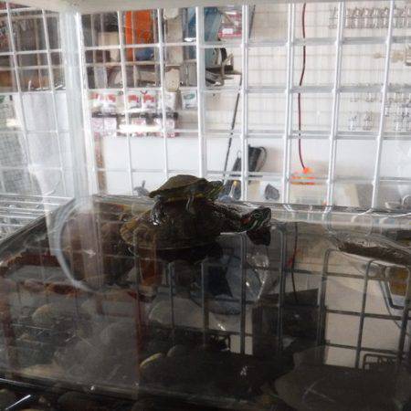 浜名湖フィッシングリゾート 釣果