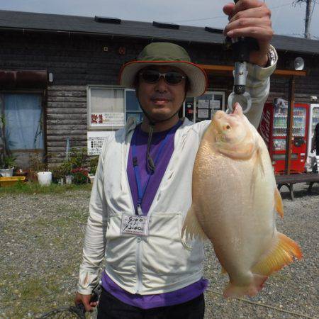 浜名湖フィッシングリゾート 釣果