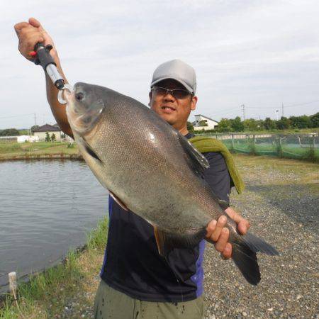 浜名湖フィッシングリゾート 釣果