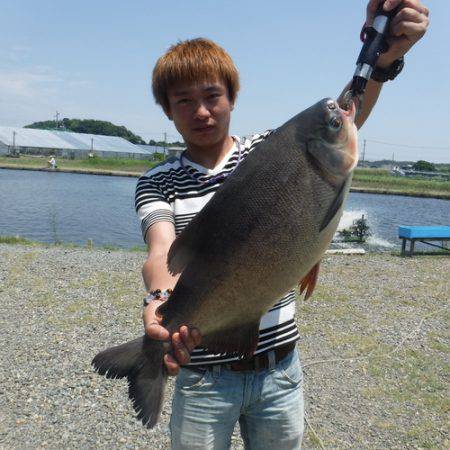 浜名湖フィッシングリゾート 釣果
