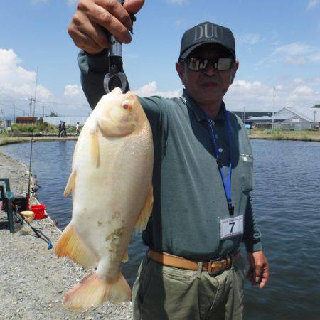 浜名湖フィッシングリゾート 釣果
