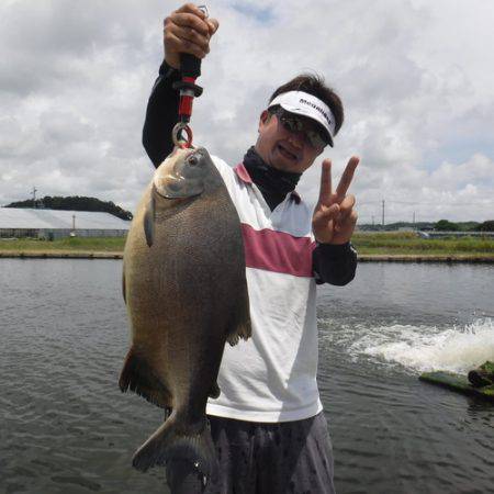 浜名湖フィッシングリゾート 釣果