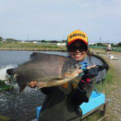 浜名湖フィッシングリゾート 釣果
