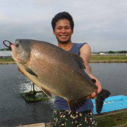 浜名湖フィッシングリゾート 釣果