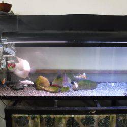 浜名湖フィッシングリゾート 釣果