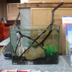 浜名湖フィッシングリゾート 釣果