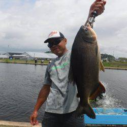 浜名湖フィッシングリゾート 釣果