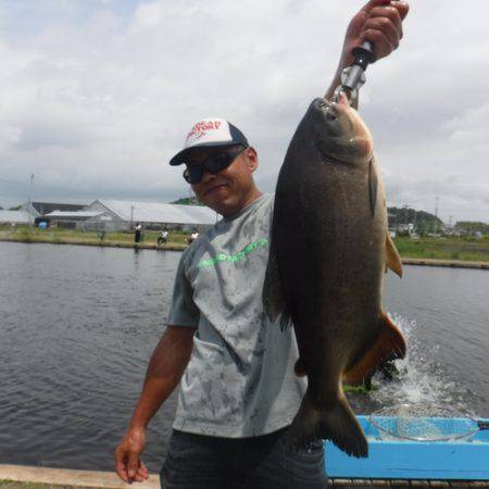 浜名湖フィッシングリゾート 釣果