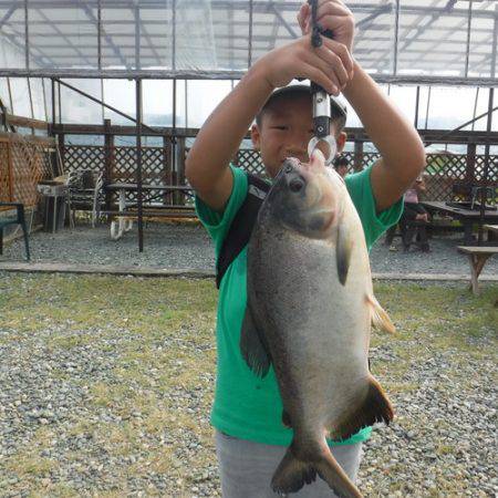 浜名湖フィッシングリゾート 釣果