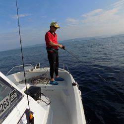 フィッシングボート空風(そらかぜ) 釣果