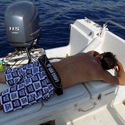 フィッシングボート空風(そらかぜ) 釣果