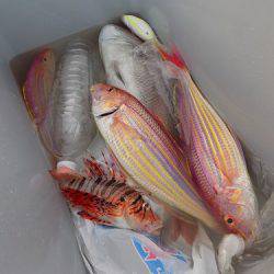 フィッシングボート空風（そらかぜ） 釣果