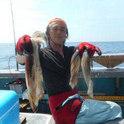 大進丸(愛知) 釣果