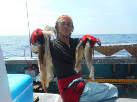 大進丸(愛知) 釣果