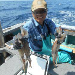 大進丸(愛知) 釣果