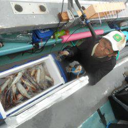 大進丸(愛知) 釣果