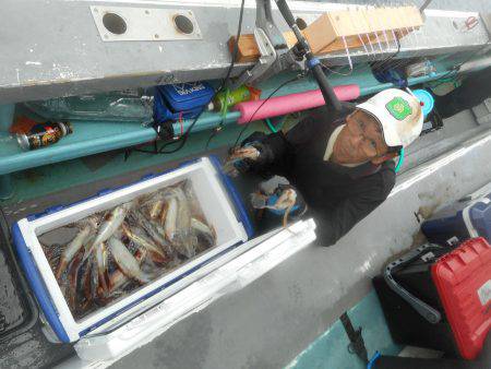 大進丸(愛知) 釣果