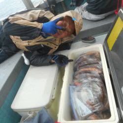 大進丸(愛知) 釣果