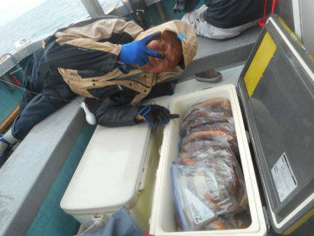 大進丸(愛知) 釣果