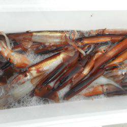 大進丸(愛知) 釣果