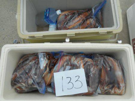 大進丸(愛知) 釣果