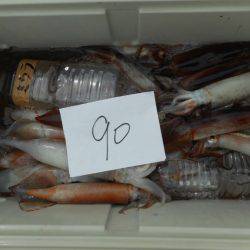 大進丸(愛知) 釣果