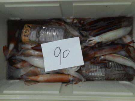 大進丸(愛知) 釣果