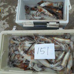 大進丸(愛知) 釣果