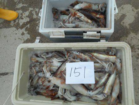 大進丸(愛知) 釣果