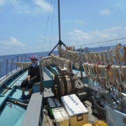 大進丸(愛知) 釣果