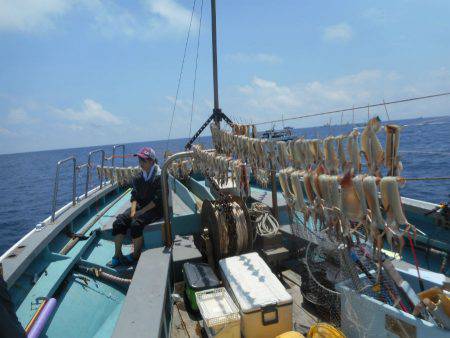 大進丸(愛知) 釣果