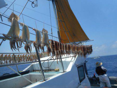 大進丸(愛知) 釣果