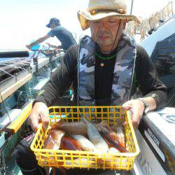 大進丸(愛知) 釣果
