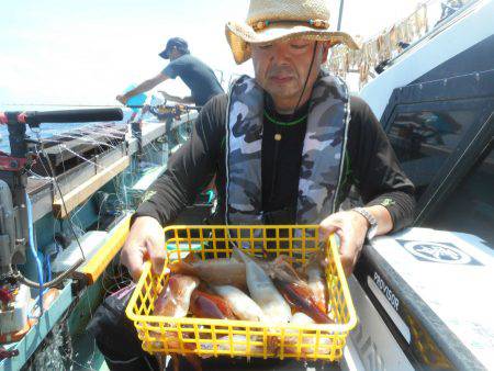 大進丸(愛知) 釣果