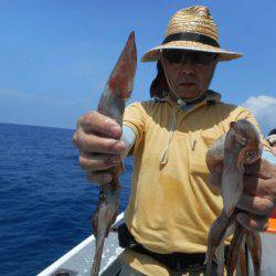 大進丸(愛知) 釣果