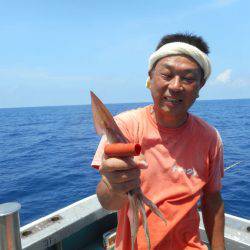 大進丸(愛知) 釣果