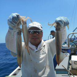 大進丸（愛知） 釣果