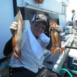 大進丸（愛知） 釣果