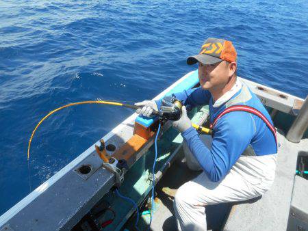 大進丸（愛知） 釣果