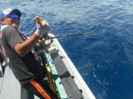 大進丸（愛知） 釣果