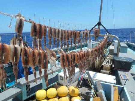 大進丸（愛知） 釣果