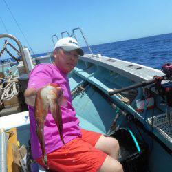 大進丸（愛知） 釣果