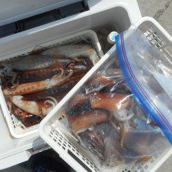 大進丸（愛知） 釣果